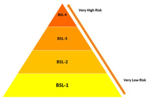 تعریف BSL یا Biosafety Level